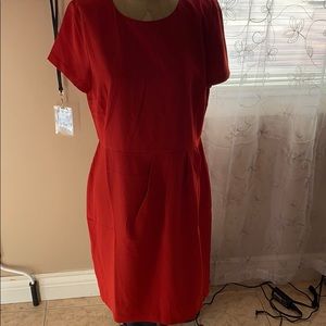 Loft - Brand new dress with tags!